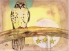 sparrow hawk with three stars